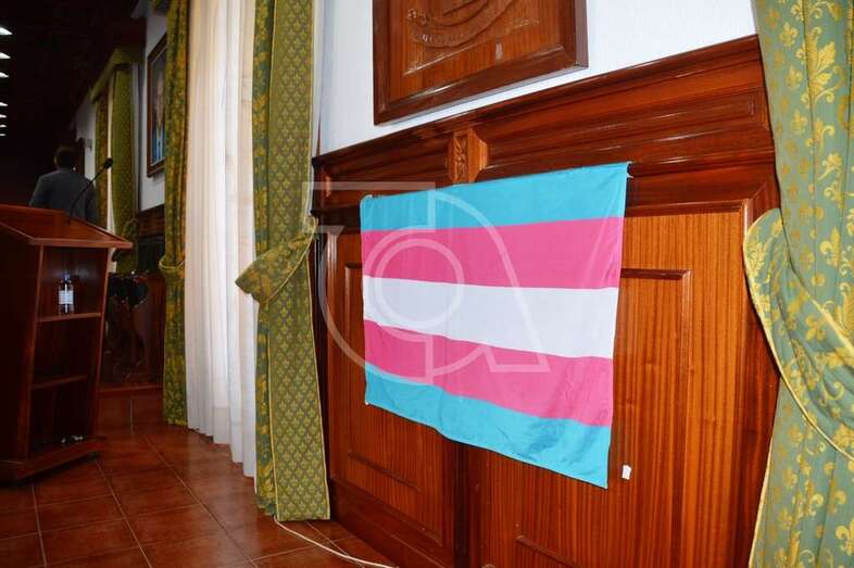 La bandera del colectivo trans, este viernes en el salón de Plenos del Ayuntamiento de Telde (Foto TA)